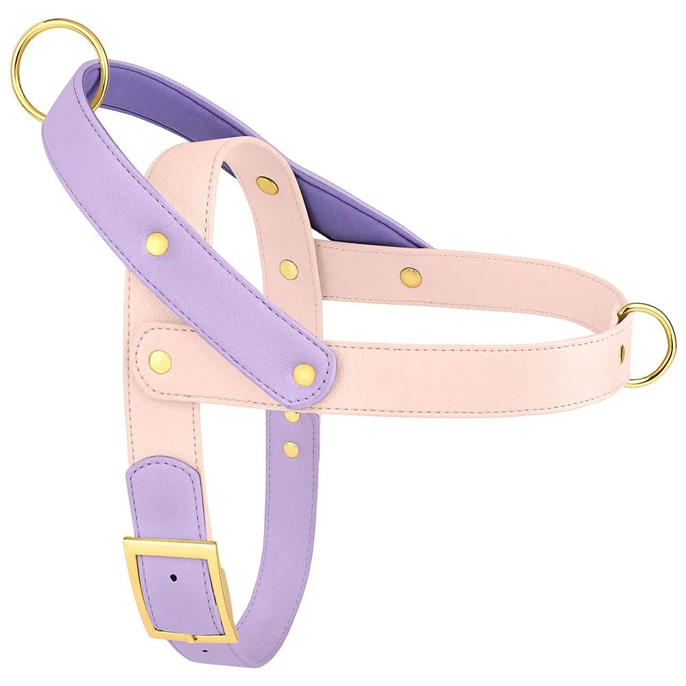 Harnais Élégant 3 Couleurs Pour Chien