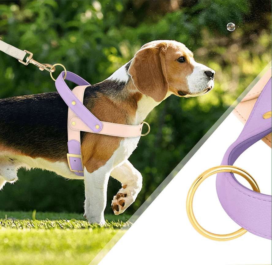 Harnais Élégant 3 Couleurs Pour Chien
