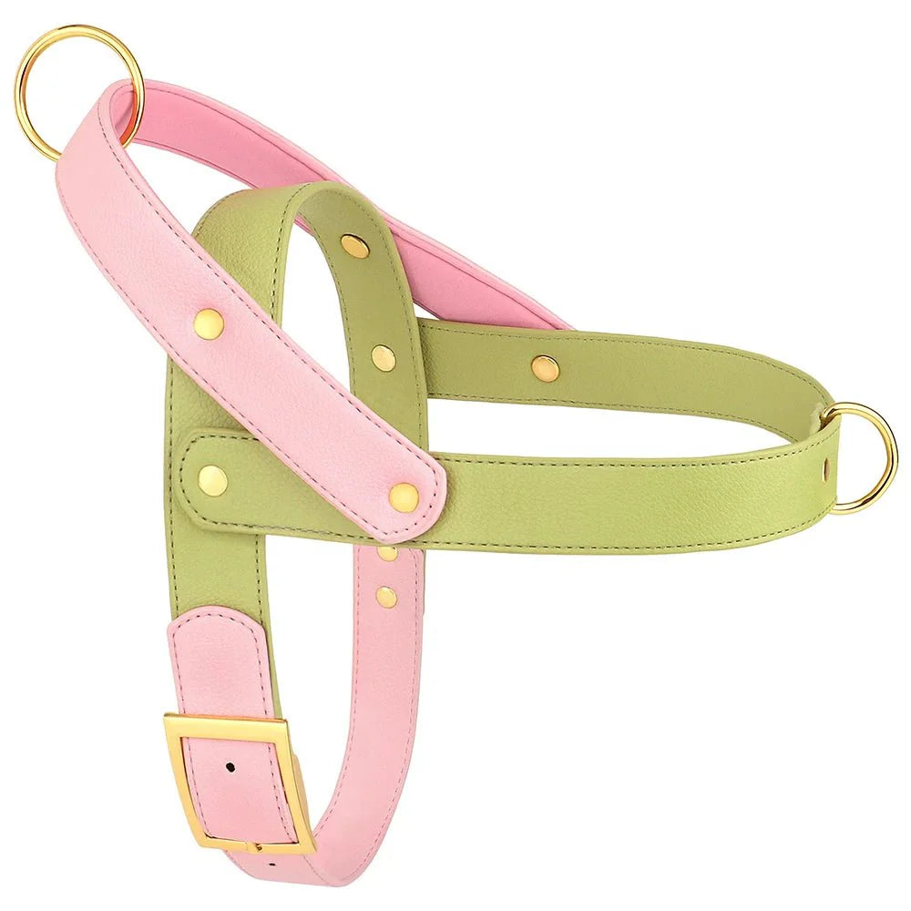 Harnais Élégant 3 Couleurs Pour Chien