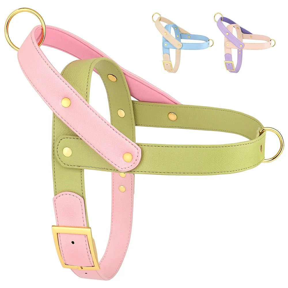 Harnais Élégant 3 Couleurs Pour Chien