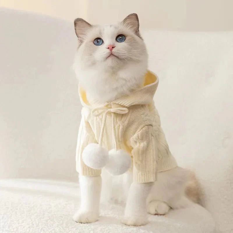Sweat Tricot pour Chat