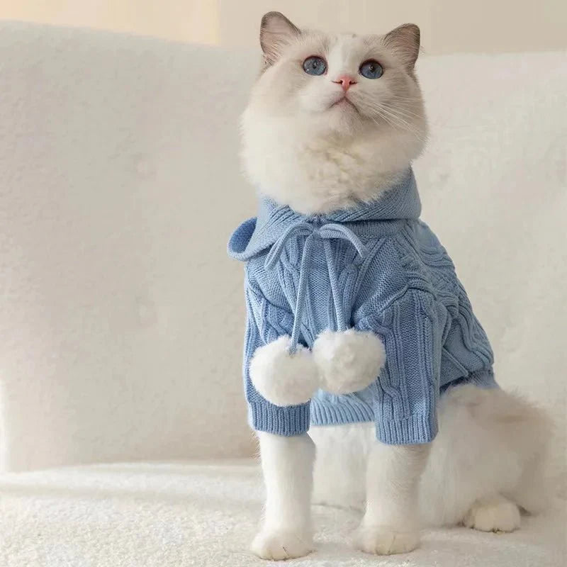 Hoodie Kangourou pour Chat