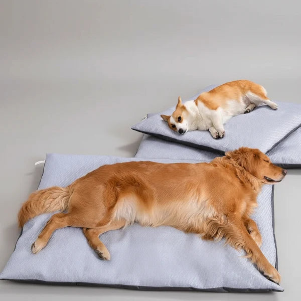 Coussin Rafraichissant Déhoussable Pour Chien