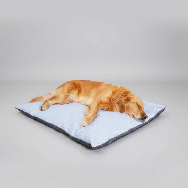 Coussin Rafraichissant Déhoussable Pour Chien