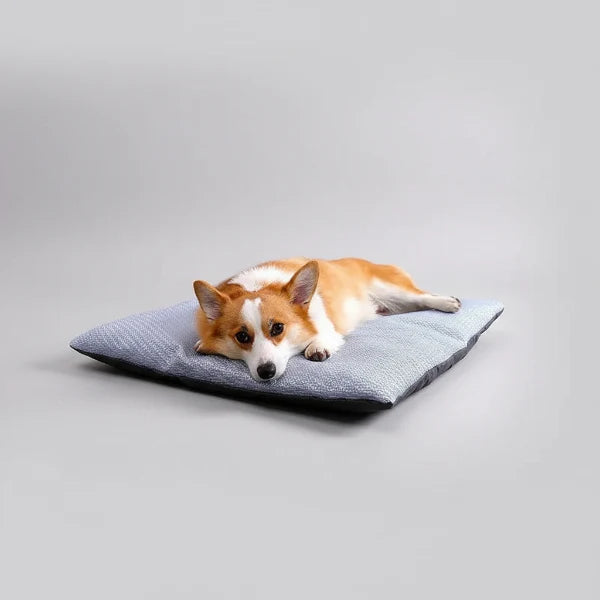 Coussin Rafraichissant Déhoussable Pour Chien