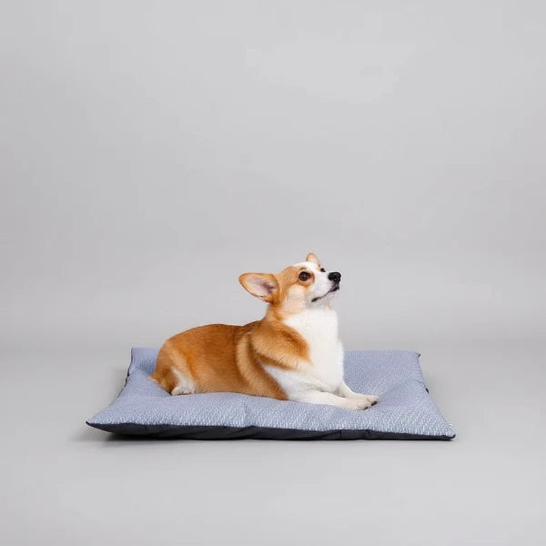 Coussin Rafraichissant Déhoussable Pour Chien