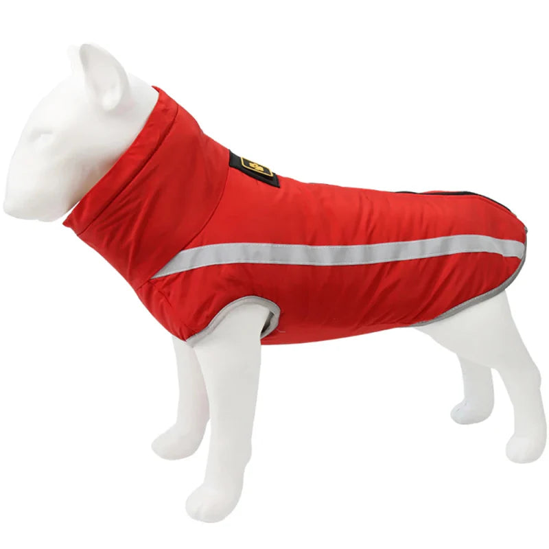Imperméable Chien Grande Taille