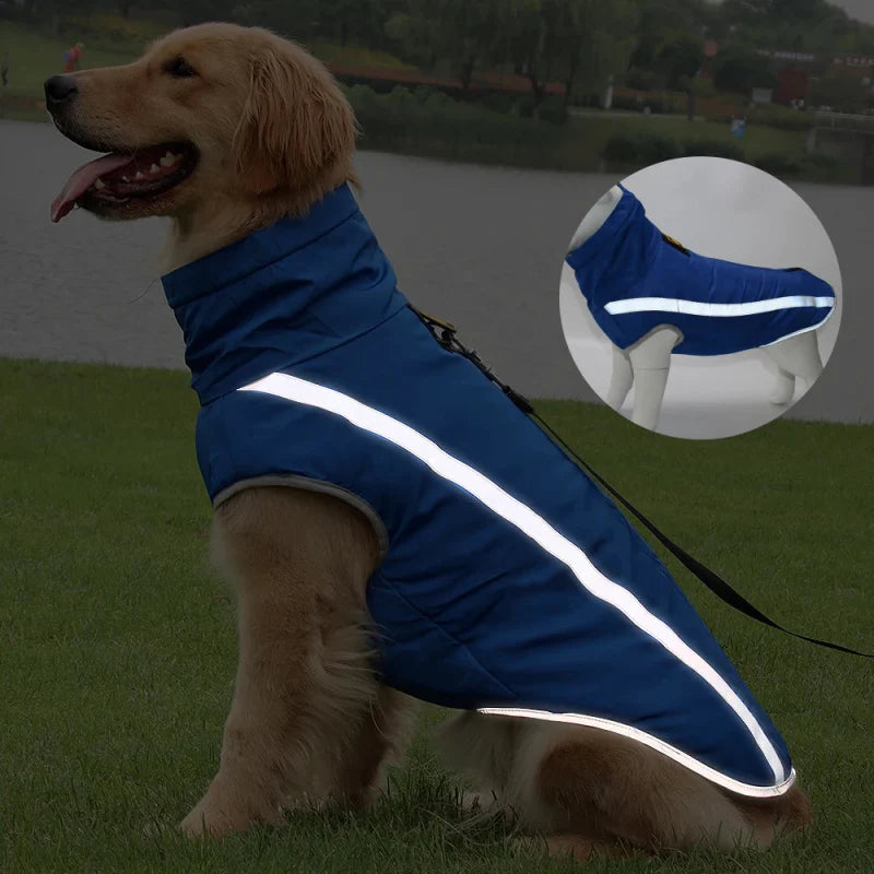 Imperméable Chien Grande Taille