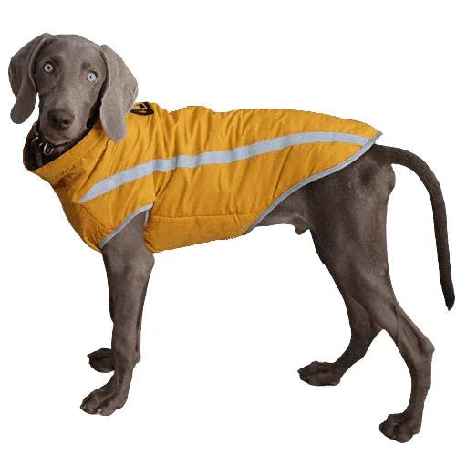 Imperméable Chien Grande Taille