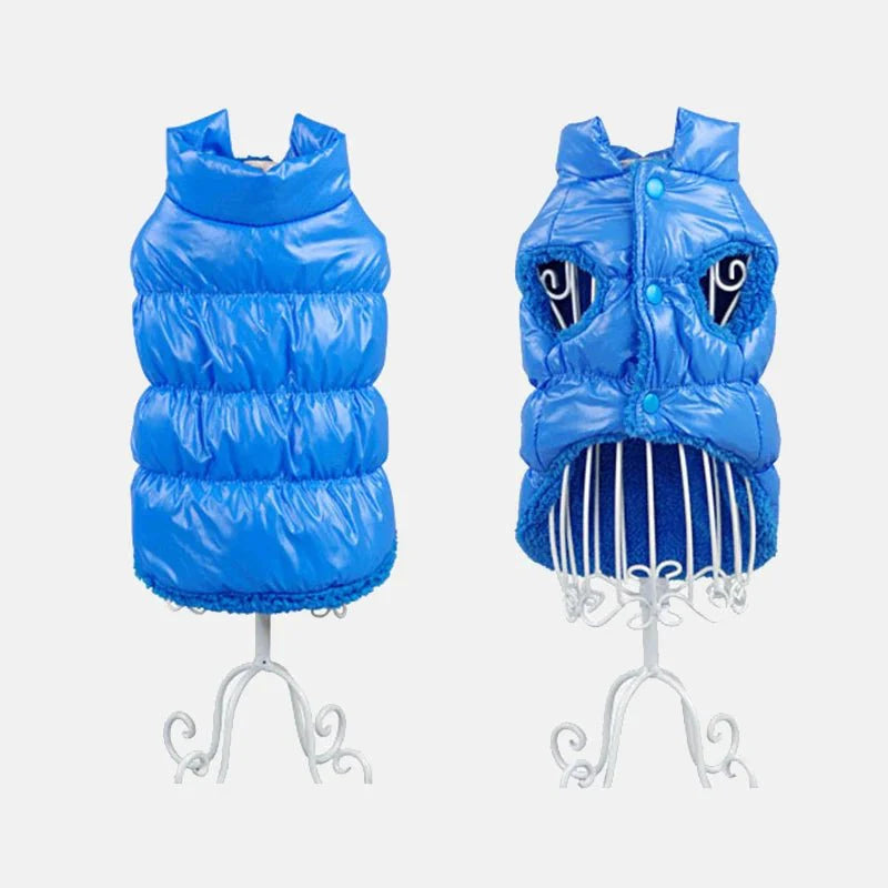 Imperméable pour Chat