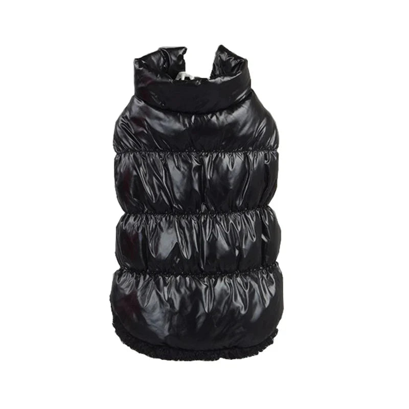 Imperméable pour Chat