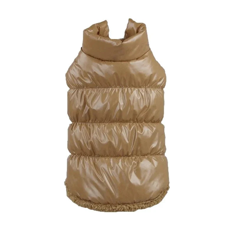 Imperméable pour Chat
