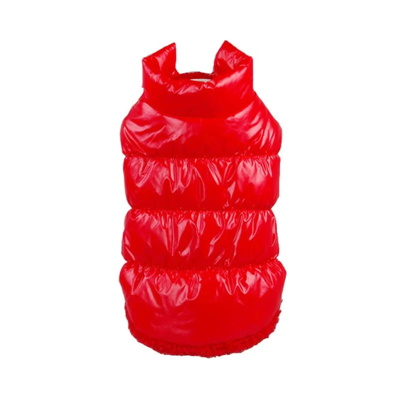 Imperméable pour Chat