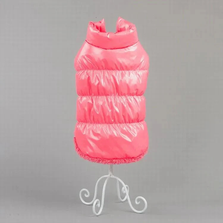 Imperméable pour Chat