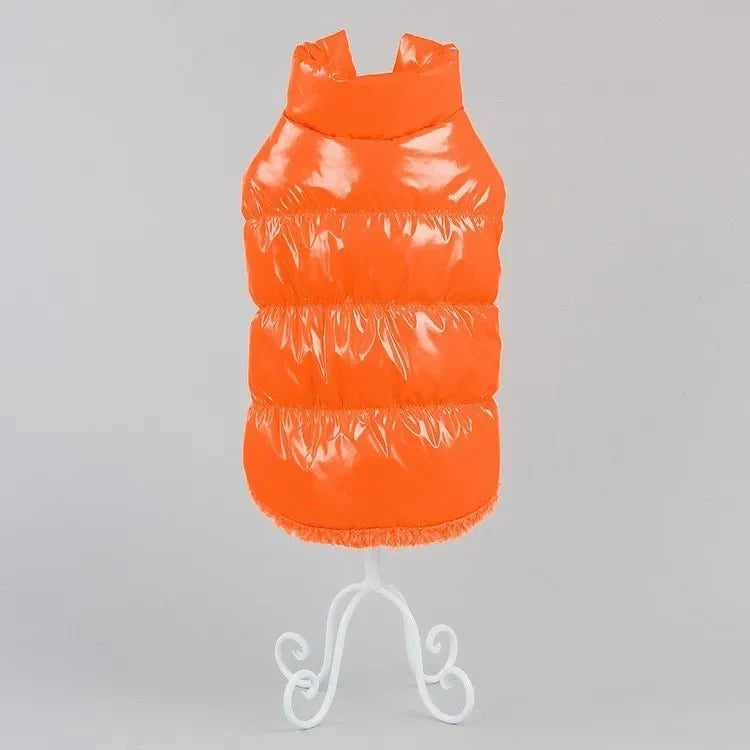 Imperméable pour Chat