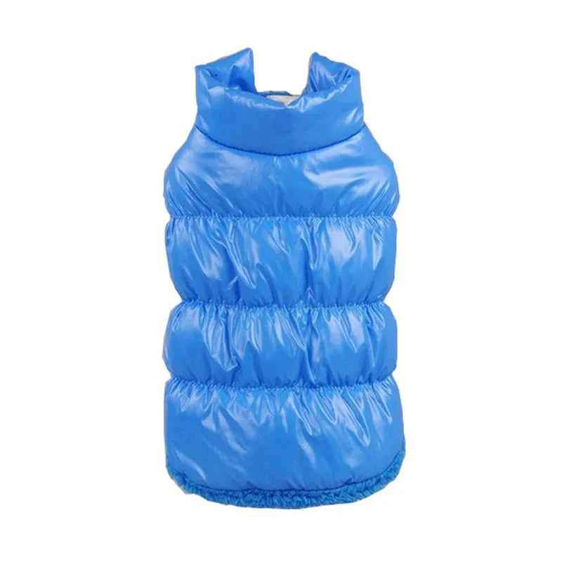 Imperméable pour Chat