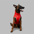 Imperméable pour chien ajustable en rouge, conçu pour garder votre animal au sec et confortable