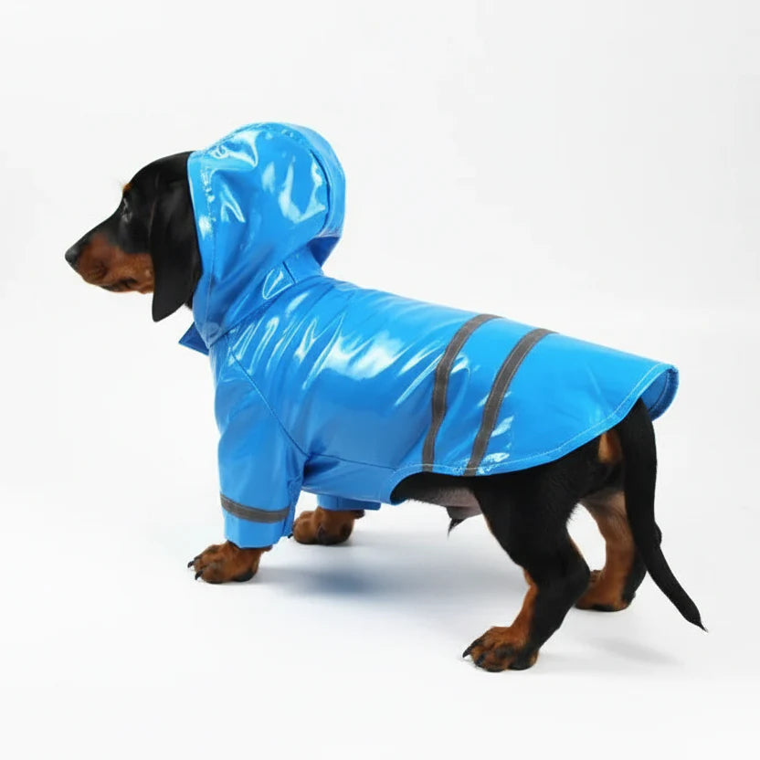 Imperméable Pour Chien Avec Capuche Et Bandes Réfléchissantes