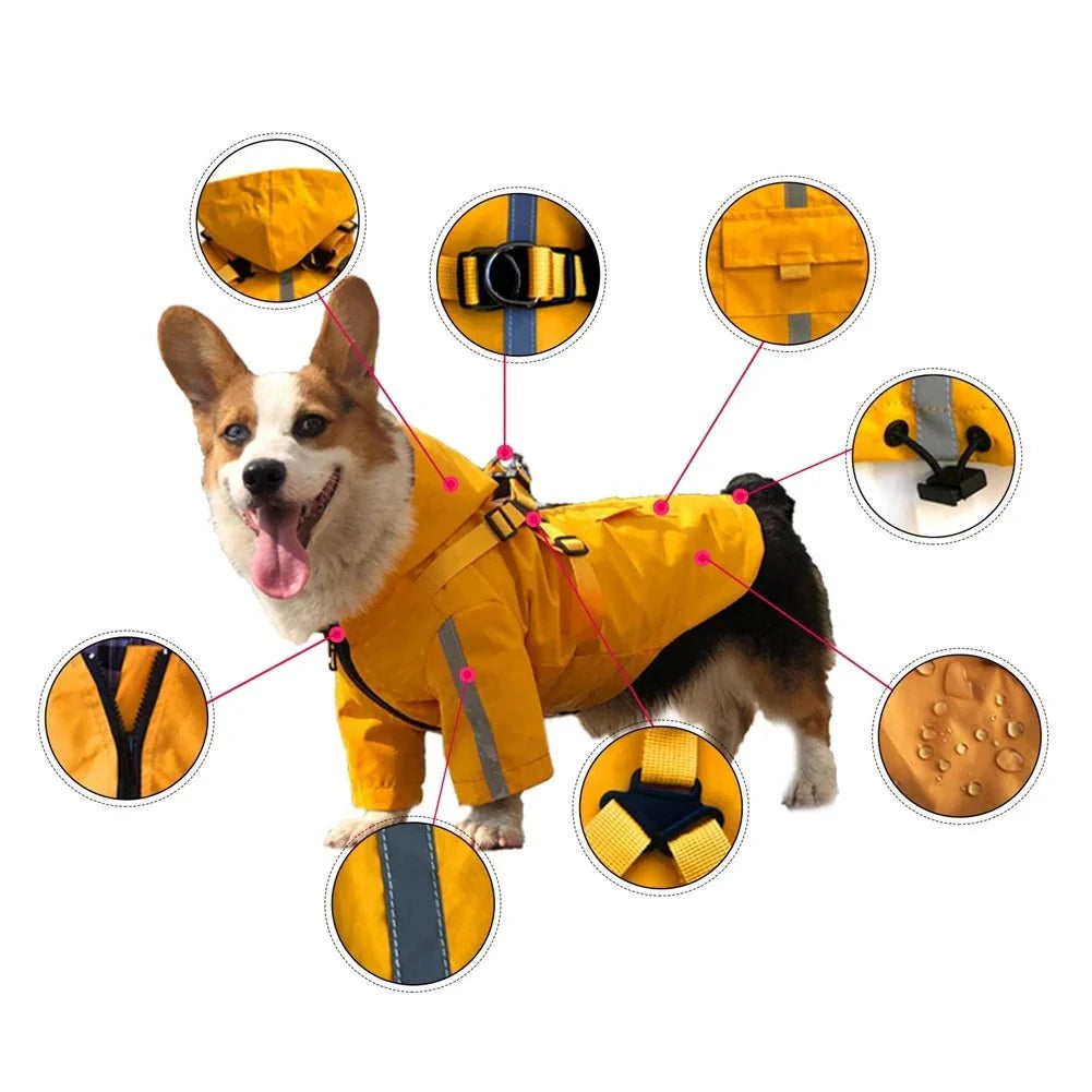 Imperméable Pour Chien Avec Capuche Et Anneau Laisse