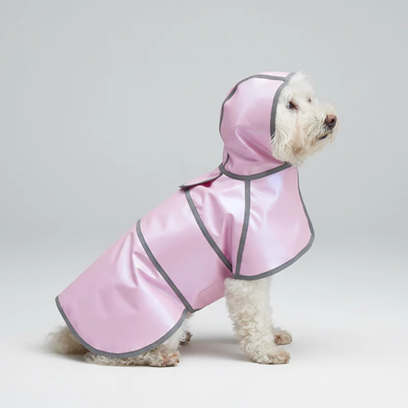 Imperméable Avec Capuche Et Bande Réfléchissante Pour chien