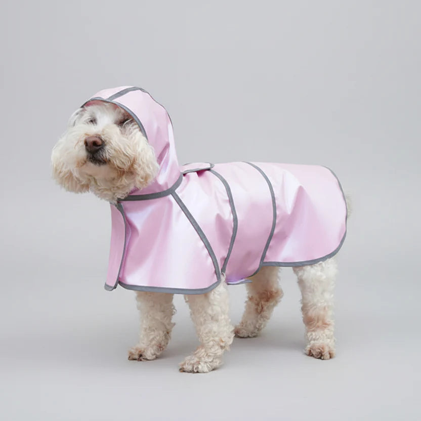 Imperméable Avec Capuche Et Bande Réfléchissante Pour chien