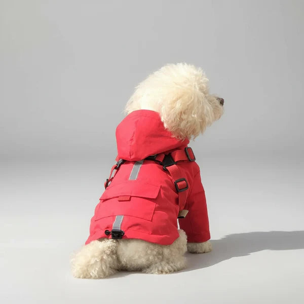 Imperméable Pour Chien Avec Capuche Et Anneau Laisse