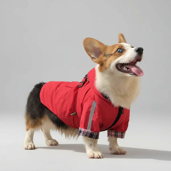 Imperméable Pour Chien Avec Capuche Et Anneau Laisse