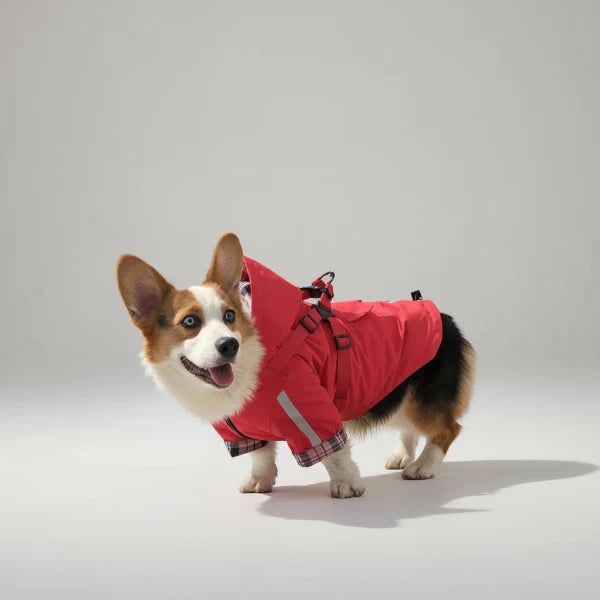 Imperméable Pour Chien Avec Capuche Et Anneau Laisse