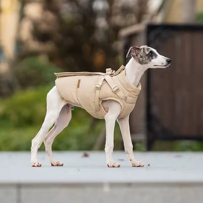Imperméable Avec Harnais Intégré Pour Chien