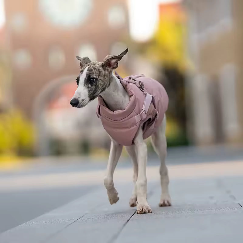 Imperméable Avec Harnais Intégré Pour Chien
