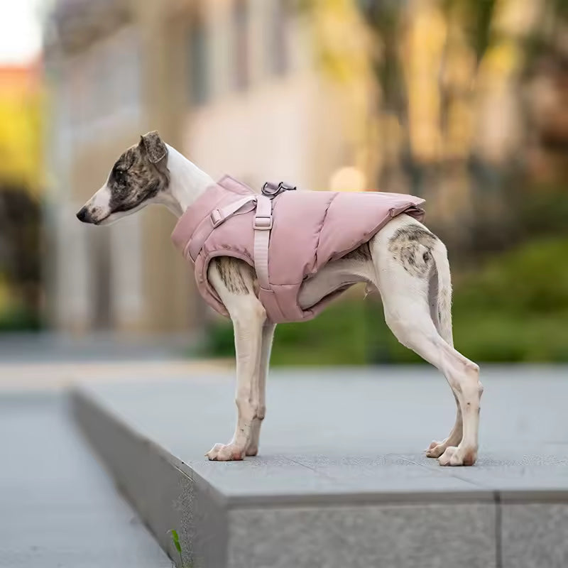 Imperméable Avec Harnais Intégré Pour Chien