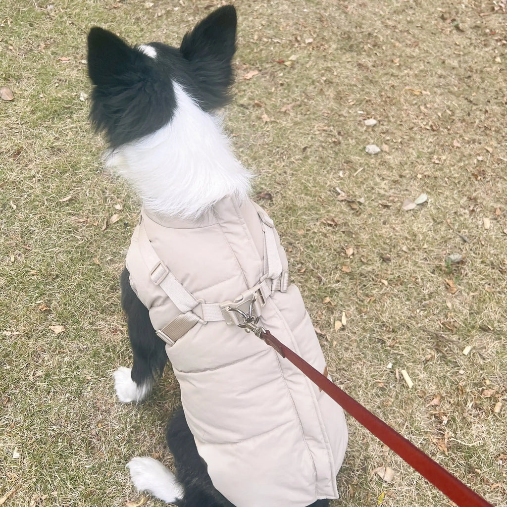 Imperméable Avec Harnais Intégré Pour Chien