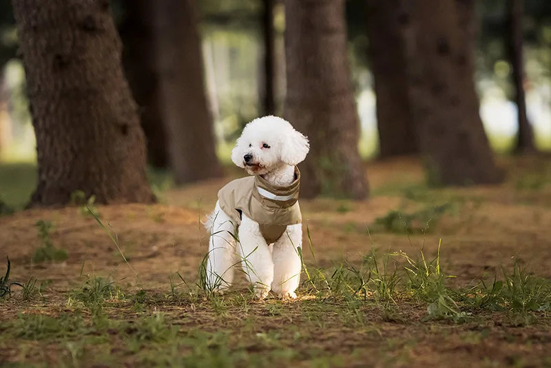 Imperméable Pour Chien Pratique Et Confortable