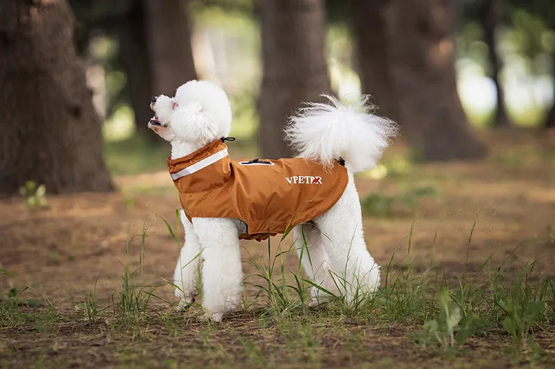 Imperméable Pour Chien Pratique Et Confortable