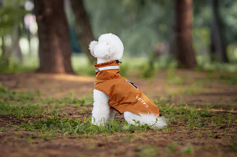 Imperméable Pour Chien Pratique Et Confortable