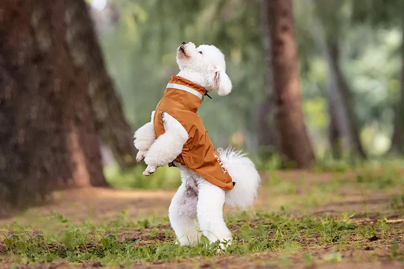 Imperméable Pour Chien Pratique Et Confortable