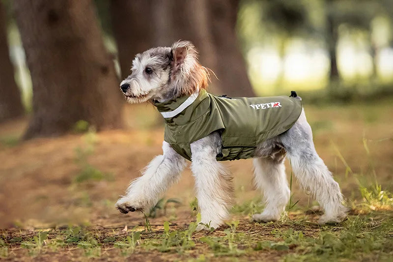 Imperméable Pour Chien Pratique Et Confortable