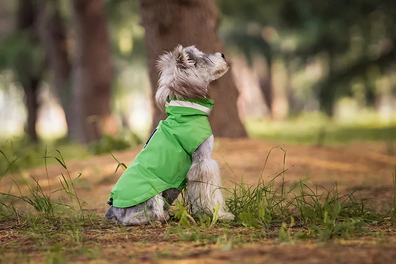 Imperméable Pour Chien Pratique Et Confortable