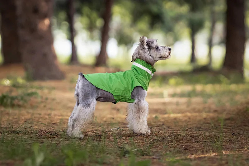 Imperméable Pour Chien Pratique Et Confortable