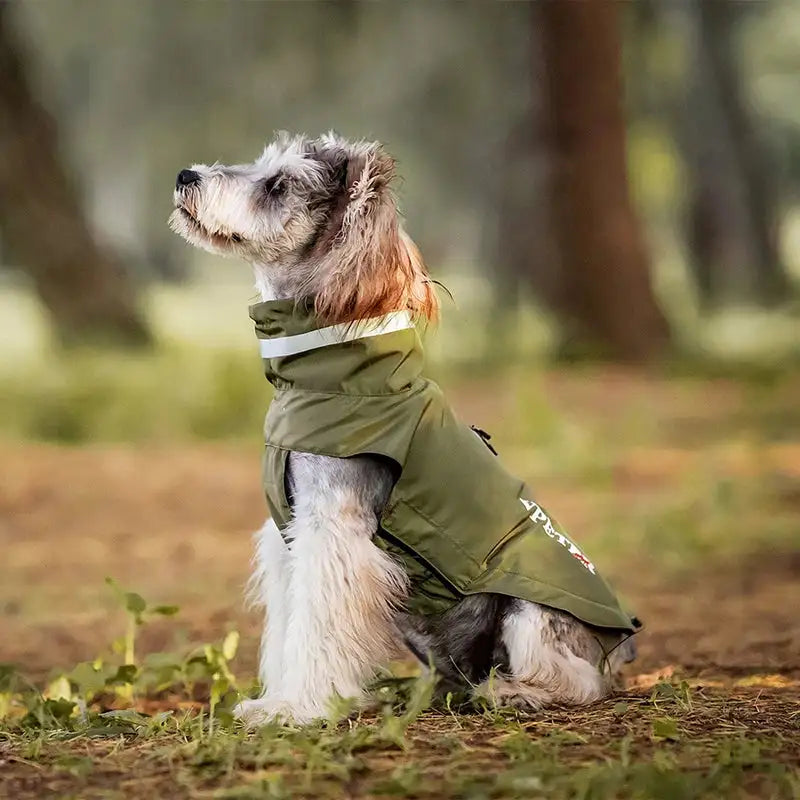Imperméable Pour Chien Pratique Et Confortable