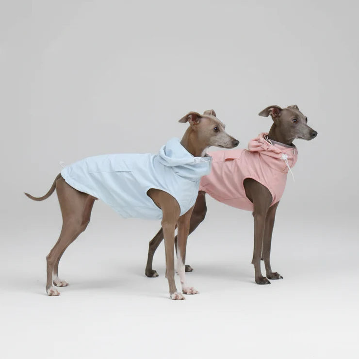 Imperméable A Capuche Pour Lévrier Et Whippet