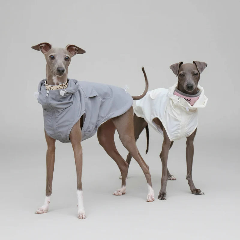 Imperméable A Capuche Pour Lévrier Et Whippet