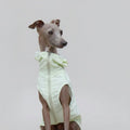 Imperméable pour lévrier et Whippet en couleur vert clair avec fermeture éclair et capuche ajustable