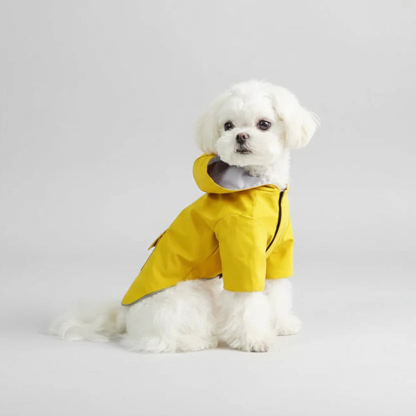 Imperméable Avec Capuche Pour Petit Chien