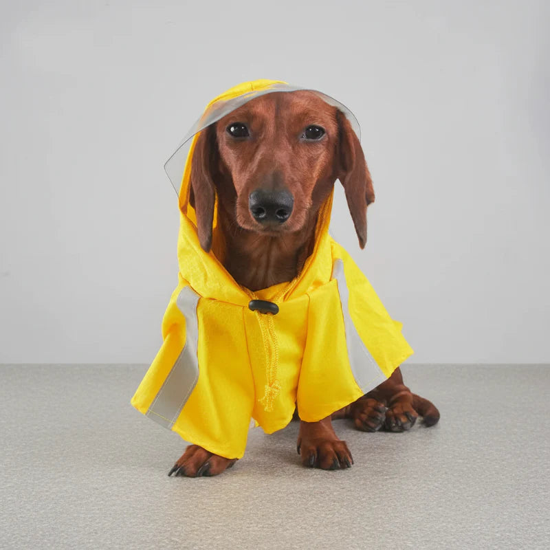 Imperméable Jaune Avec Capuche Pour Teckel