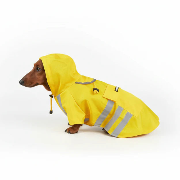 Imperméable Jaune Avec Capuche Pour Teckel