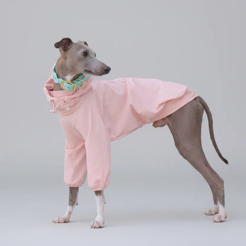 Imperméable Pour Whippet, Lévrier Italien Avec Capuche