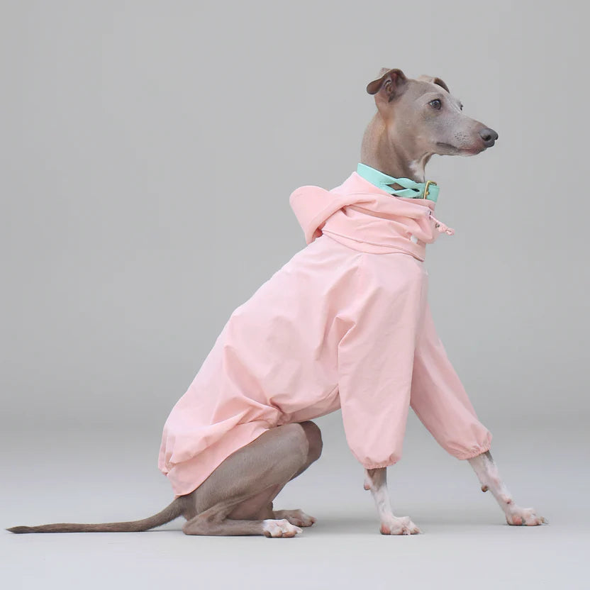 Imperméable pour whippet en rose avec capuche et poches pratiques pour les jours de pluie