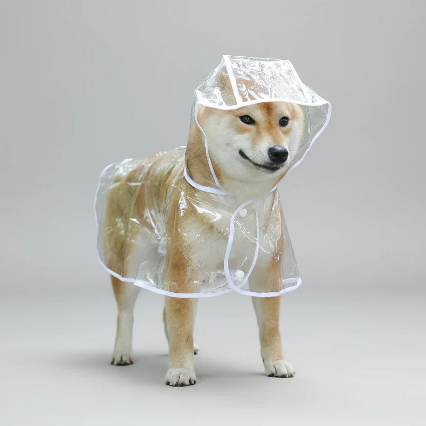 Imperméable Transparent Poncho A Capuche Pour Chien