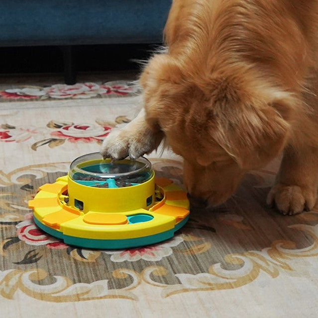 JEU INTELLIGENCE CHIEN ANTI GLOUTON | NutriPlay™